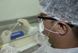 A equipe do Laboratório Central de Saúde Pública do Tocantins (Lacen), vem atuando de forma contínua para atender as solicitações de testagem para a Covid- 19
