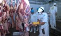  O Tocantins exporta carne bovina para 29 países