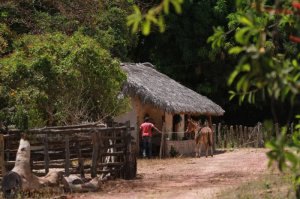 Caravana do CAR. A força-tarefa será desenvolvida no município de Mateiros, região do Jalapão, foto de Pequena propriedade rural na região do Jalapão