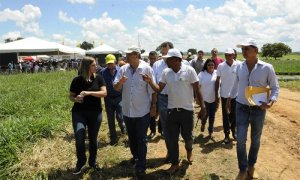 Governador Marcelo Miranda, autoridades e produtores rurais percorrem a Fazenda Laço de Ouro durante Dia de Campo