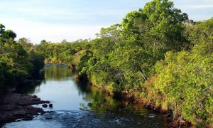 O potencial hídrico do Cerrado dá ao bioma o título de Berço das Águas - Fernando Alves/Governo do Estado