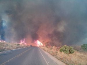 Incendio crimunoso entre Monte Alegre e Campos Belos