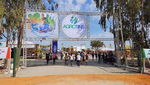 Após dois anos, Agrotins volta a ser realizada de forma presencial - Governo do Tocantins 