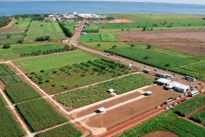 Tocantins reúne condições ideais para a produção agrícola moderna