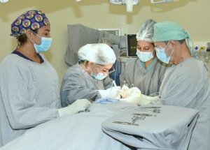  Em abril deste ano foram realizadas 706 cirurgias eletivas, ultrapassando as 582 previstas para o período